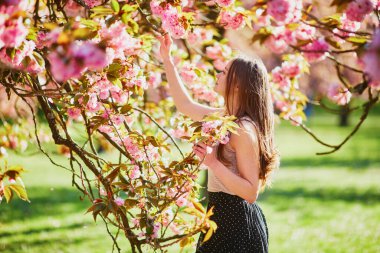 Güneşli bahar gününde, kiraz çiçeği mevsiminde parkta güzel bir genç kadın. Paris, Fransa yakınlarındaki ünlü Sceaux Park 'ında genç bir kadın.