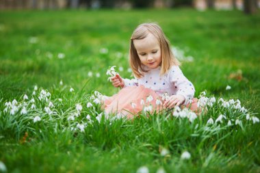 Pembe etekli şirin anaokulu kızı bir bahar günü parkta ya da ormanda bir sürü kardelen çiçeğiyle çimlerin üzerinde oturuyor. Doğayı keşfeden küçük bir çocuk. Çocuklar için açık hava aktiviteleri