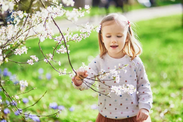Suloinen Pieni Tyttö Nauttii Mukava Aurinkoinen Kevät Päivä Lähellä Omenapuu — kuvapankkivalokuva