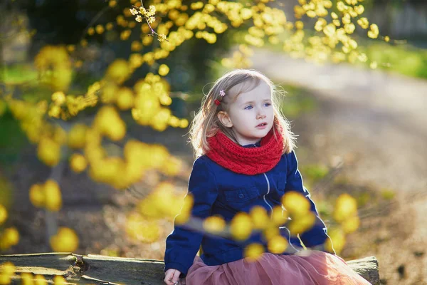 Urocza Przedszkolanka Lesie Wiosenny Dzień Dziecko Patrzące Świeże Liście Wiosną — Zdjęcie stockowe