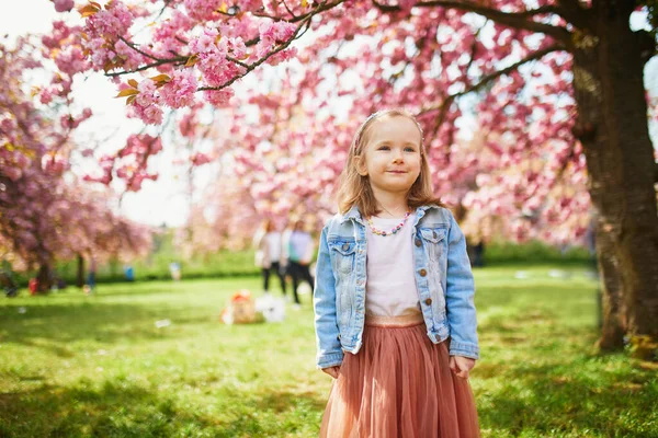 Adorable Preschooler Girl Tutu Skirt Enjoying Nice Spring Day Cherry — Fotografia de Stock