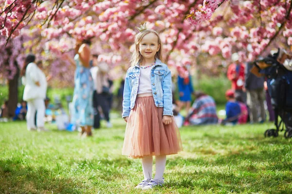 Adorable Preschooler Girl Tutu Skirt Princess Crown Enjoying Nice Spring — Foto de Stock