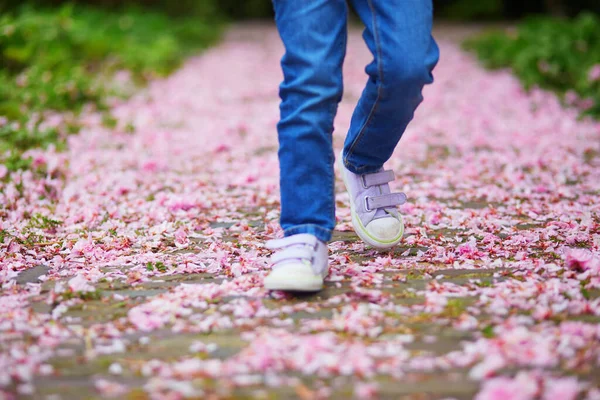 Preschooler Girl Walking Cherry Blossom Garden Path Covered Pipnk Fallen — Stockfoto