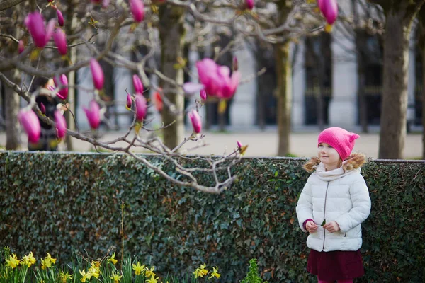Adorable Niña Preescolar Mirando Magnolia Rosa Plena Floración Una Calle — Foto de Stock