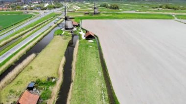 Tipik Hollanda değirmenlerinin, tarlaların ve polenlerin insansız hava aracı görüntüsü. Hollanda 'nın tipik kırsal manzarası