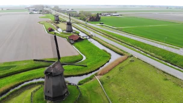 Vista Aérea Aviones Tripulados Molinos Campos Pólderes Holandeses Típicos Paisaje — Vídeo de stock
