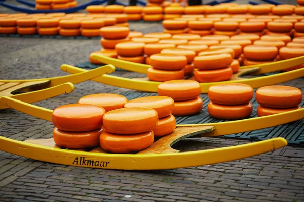 荷兰阿尔卡马尔著名的荷兰奶酪市场上有许多奶酪 — 图库照片