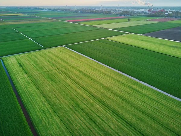 Αεροφωτογραφία Drone Τυπικών Ολλανδικών Πεδίων Και Πόλντερς Τυπικό Τοπίο Της — Φωτογραφία Αρχείου