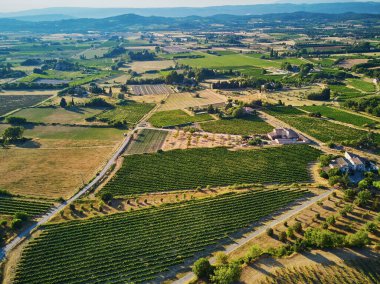 Provence, Güney Fransa 'da selvi ağaçları, zeytin ağaçları ve üzüm bağlarıyla hava manzaralı Akdeniz manzarası