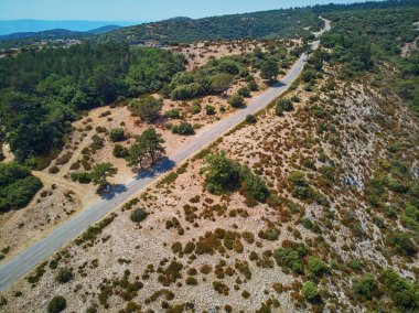 Aerial scenic Mediterranean landscape with cypresses, olive trees and vineyards in Provence, Southern France