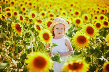 Adorable 4 year old girl in white dress and straw hat in a field of sunflowers in Provence, France