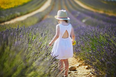 Adorable 4 year old girl in white dress and straw hat walking through rows of lavender near Valensole, Provence, France