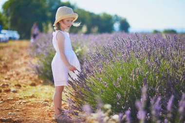 Beyaz elbiseli ve hasır şapkalı 4 yaşındaki sevimli kız Valensole, Provence, Fransa yakınlarındaki lavanta sıralarında yürüyor.