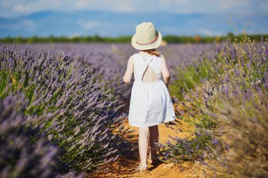 Beyaz elbiseli ve hasır şapkalı 4 yaşındaki sevimli kız Valensole, Provence, Fransa yakınlarındaki lavanta sıralarında yürüyor.