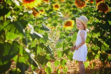 Fransa 'nın Provence şehrinde ayçiçeği tarlasında beyaz elbiseli ve hasır şapkalı 4 yaşında sevimli bir kız.