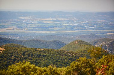 Provence, Güney Fransa 'da selvi ağaçları, zeytin ağaçları ve üzüm bağlarıyla hava manzaralı Akdeniz manzarası