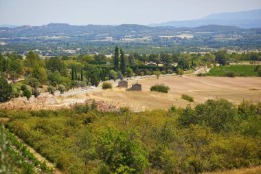 Aerial scenic Mediterranean landscape with cypresses, olive trees and vineyards in Provence, Southern France