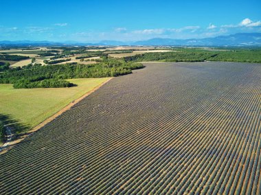 Aerial scenic Mediterranean landscape with lavender fields in Provence, Southern France