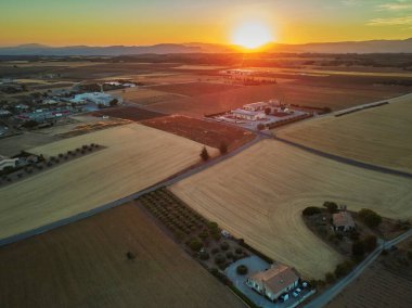Valensole, Provence, Fransa yakınlarında Temmuz ayı ortasında gün batımında lavanta tarlasının manzarası