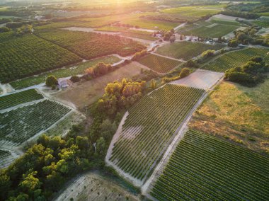 Provence, Güney Fransa 'da selvi ağaçları, zeytin ağaçları ve üzüm bağlarıyla hava manzaralı Akdeniz manzarası
