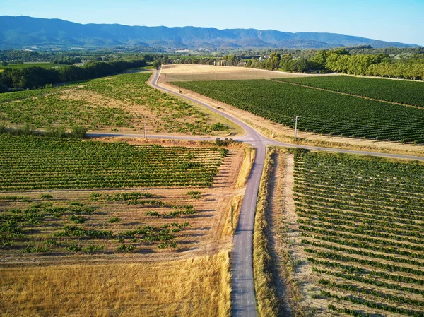 Luchtlandschappelijk Mediterraan Landschap Met Cipressen Olijfbomen Wijngaarden Provence Zuid Frankrijk — Stockfoto