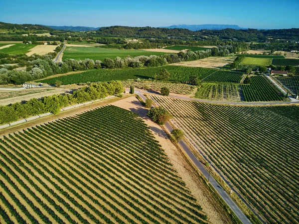 Aerial Scenic Mediterranean Landscape Cypresses Olive Trees Vineyards Provence Southern — стокове фото