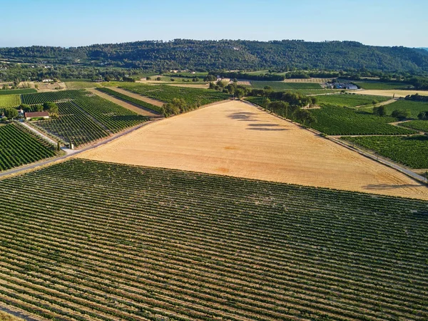 Aerial Scenic Mediterranean Landscape Cypresses Olive Trees Vineyards Provence Southern — Stock fotografie