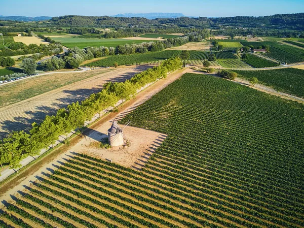 Aerial Scenic Mediterranean Landscape Cypresses Olive Trees Vineyards Provence Southern — стокове фото