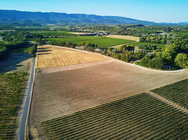 stock image Aerial scenic Mediterranean landscape with cypresses, olive trees and vineyards in Provence, Southern France