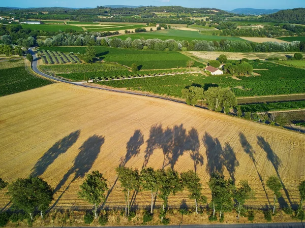 Aerial Scenic Mediterranean Landscape Cypresses Olive Trees Vineyards Provence Southern — ストック写真
