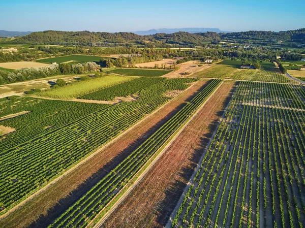Aerial Scenic Mediterranean Landscape Cypresses Olive Trees Vineyards Provence Southern —  Fotos de Stock