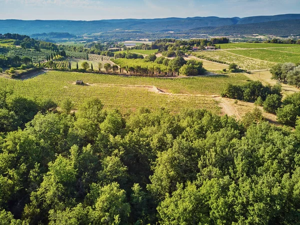 Aerial Scenic Mediterranean Landscape Cypresses Olive Trees Vineyards Provence Southern — Photo