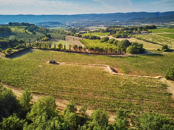Aerial Scenic Mediterranean Landscape Cypresses Olive Trees Vineyards Provence Southern — Fotografia de Stock