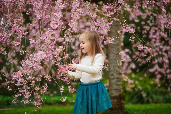 桜の季節に公園で素敵な春の日を楽しむ愛らしい未就学児の女の子 子供のための屋外の春の活動 自然を探検する小さな子供 — ストック写真