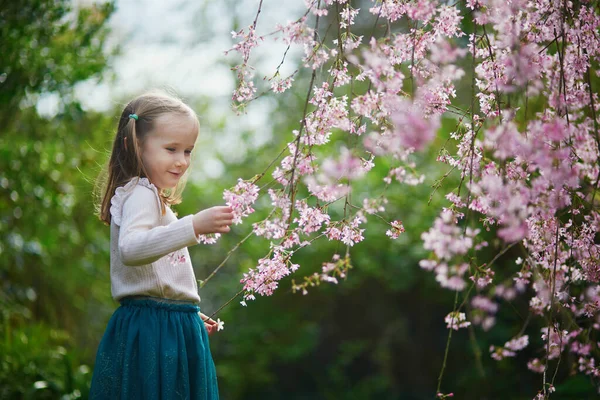 在樱花盛开的季节 可爱的学龄前女孩在公园里享受着美好的春日 孩子们的户外春季活动 小孩探索自然 — 图库照片