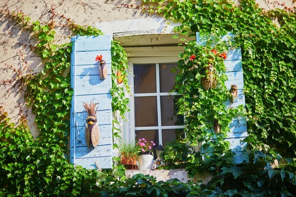 Starý Francouzský Dům Dřevěnými Okenicemi Zdobenými Včelami Lourmarinu Provence Francie — Stock fotografie