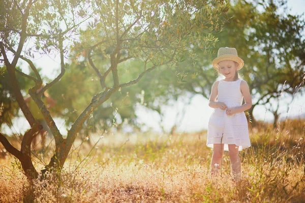 Adorable Year Old Girl White Dress Straw Hat Olive Tree — Stock fotografie
