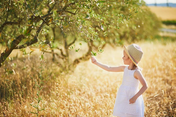 Adorable Year Old Girl White Dress Straw Hat Olive Tree — Stock fotografie