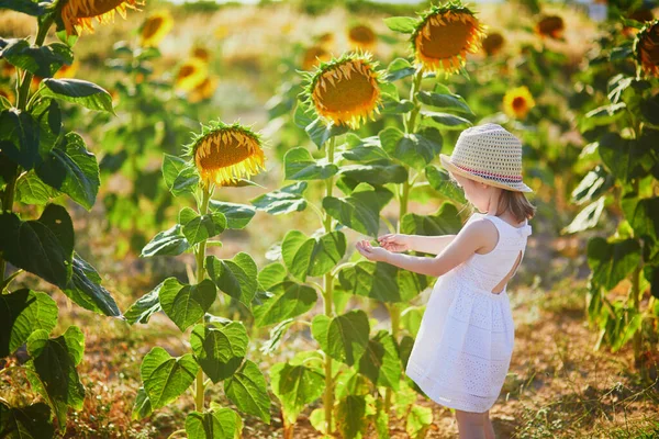 Adorable Year Old Girl White Dress Straw Hat Field Sunflowers — стоковое фото