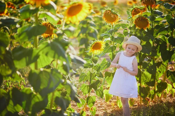 Adorable Year Old Girl White Dress Straw Hat Field Sunflowers — стоковое фото