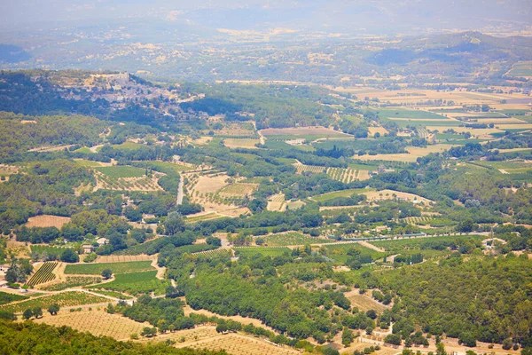 Aerial Scenic Mediterranean Landscape Cypresses Olive Trees Vineyards Provence Southern — Zdjęcie stockowe
