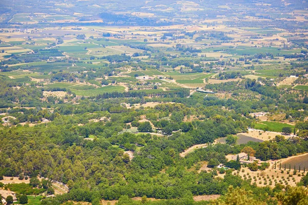 Aerial Scenic Mediterranean Landscape Cypresses Olive Trees Vineyards Provence Southern — Stok fotoğraf