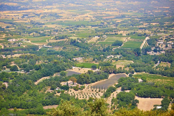 Aerial Scenic Mediterranean Landscape Cypresses Olive Trees Vineyards Provence Southern — Stockfoto