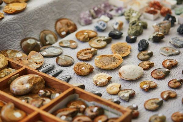 Selection Prehistoric Minerals Fossils Traditional French Market Village Cucuron Provence — Stock Photo, Image