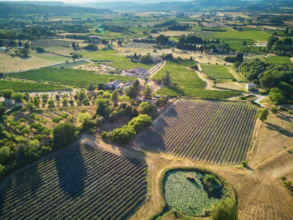 Aerial Scenic Mediterranean Landscape Lavender Fields Provence Southern France — Foto Stock