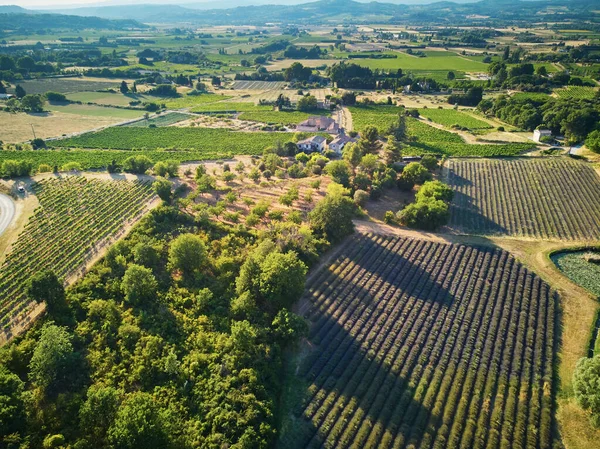 Aerial Scenic Mediterranean Landscape Lavender Fields Provence Southern France — Stock fotografie
