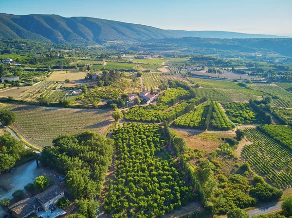 Aerial Scenic Mediterranean Landscape Cypresses Olive Trees Vineyards Provence Southern — ストック写真