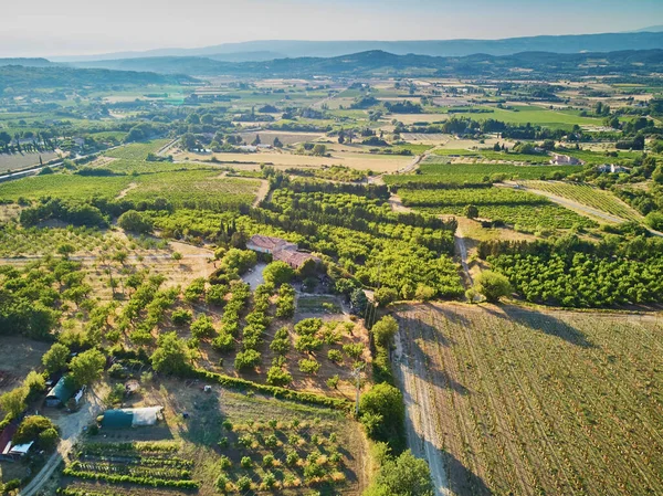 Aerial Scenic Mediterranean Landscape Cypresses Olive Trees Vineyards Provence Southern — Stock Fotó