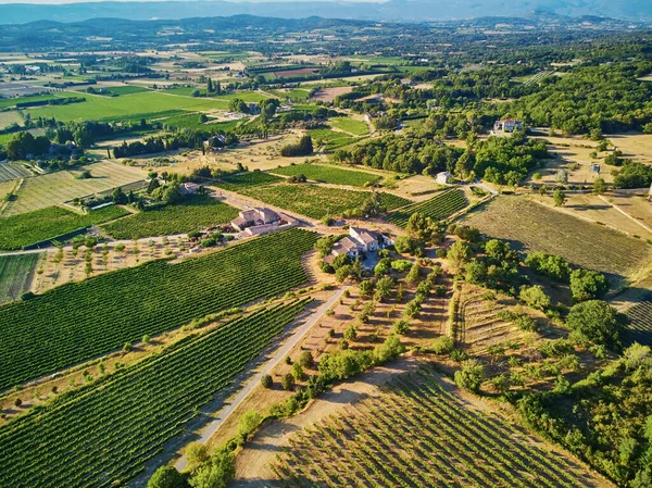 Aerial Scenic Mediterranean Landscape Cypresses Olive Trees Vineyards Provence Southern — Fotografia de Stock