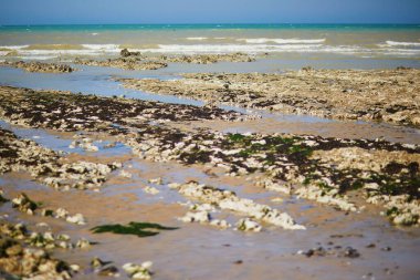 Sainte-Marguerite sur Mer, Normandiya 'da sular çekildiğinde kumlu ve taşlı sahil